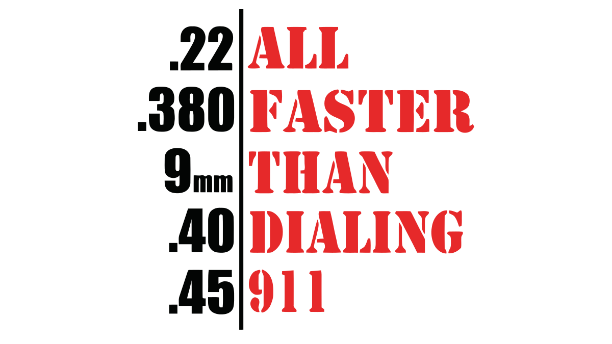 2nd Amendment/2ndAmendment 7.png